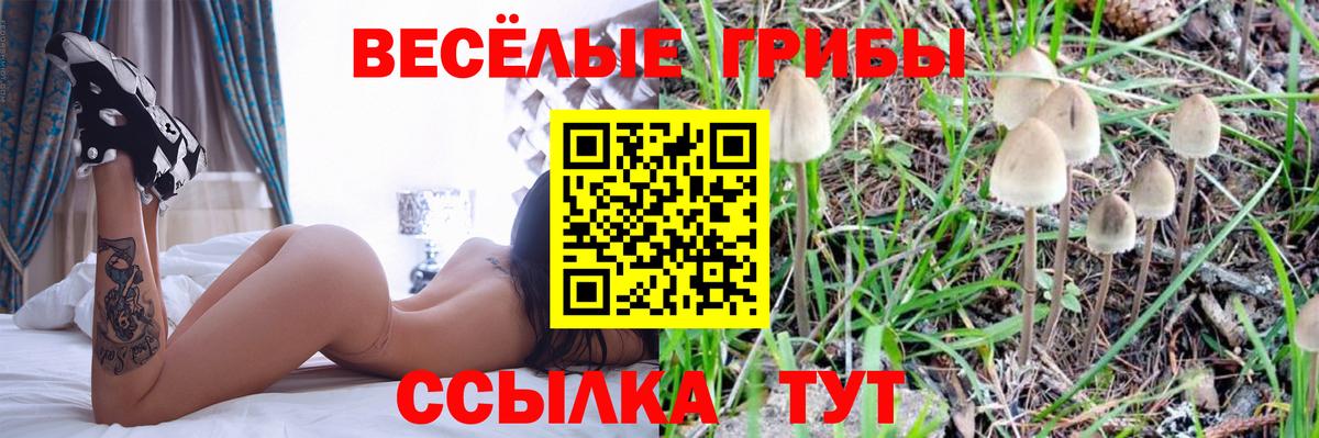Псилоцибиновые грибы мухоморы  Псилоцибиновые грибы MAGIC MUSHROOMS  Тавда  купить наркоту  Вход с VPN 